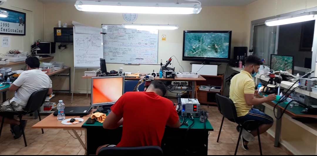 Student working on a mobile device